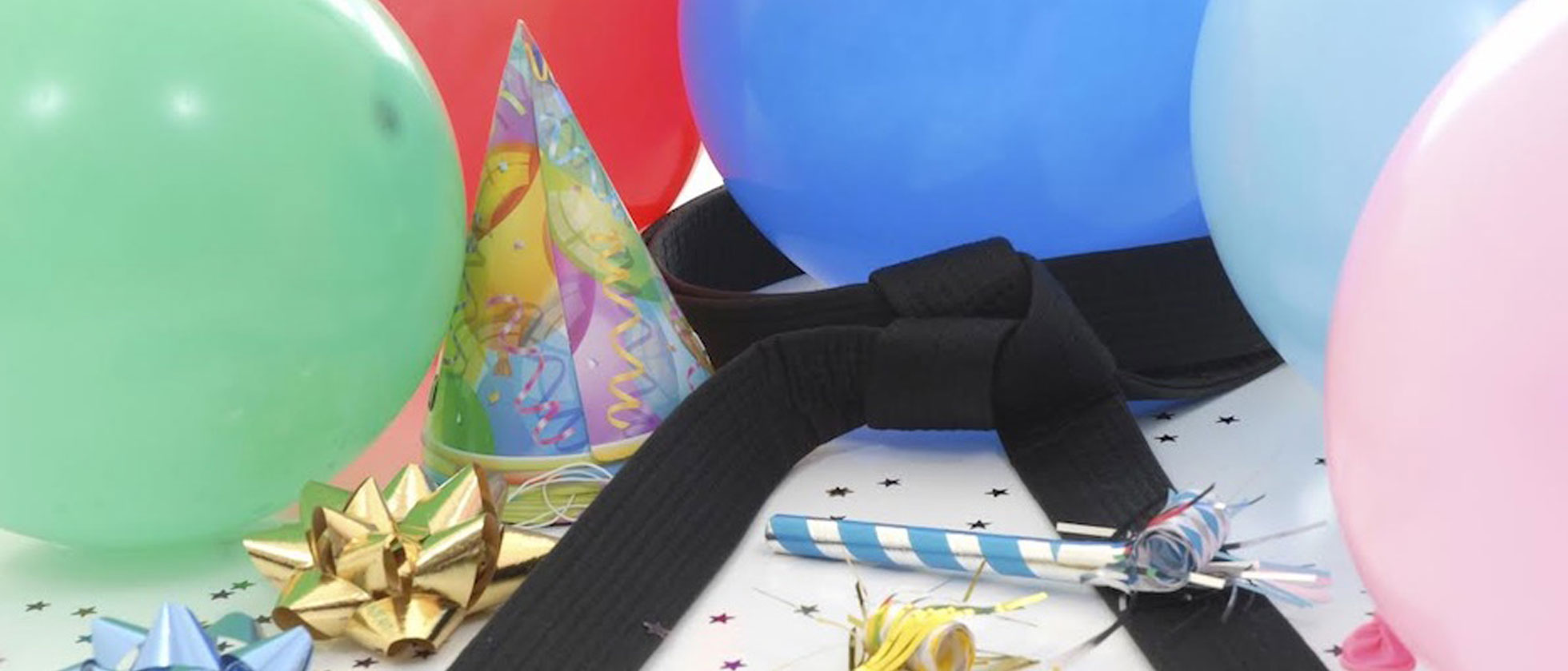 Martial Arts Birthday Parties In Bayberry, New York